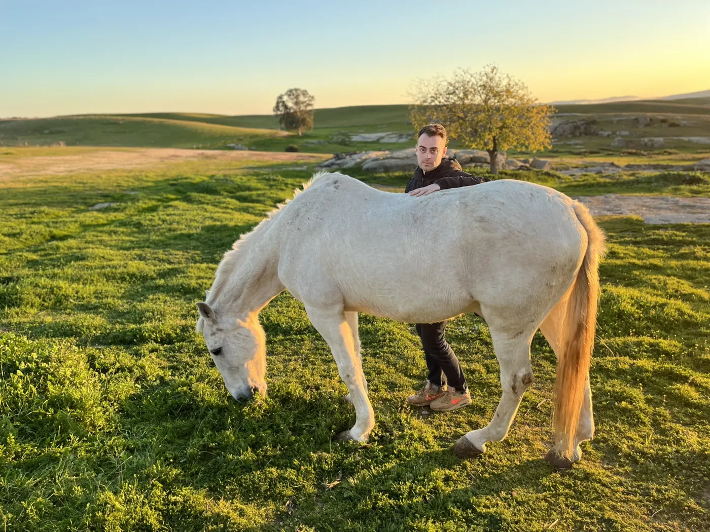 Carlo con un caballo blanco pastando en el campo