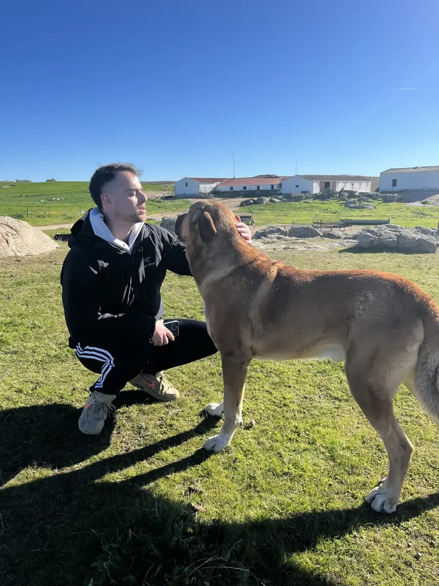 Carlo with a mastiff on a farm
