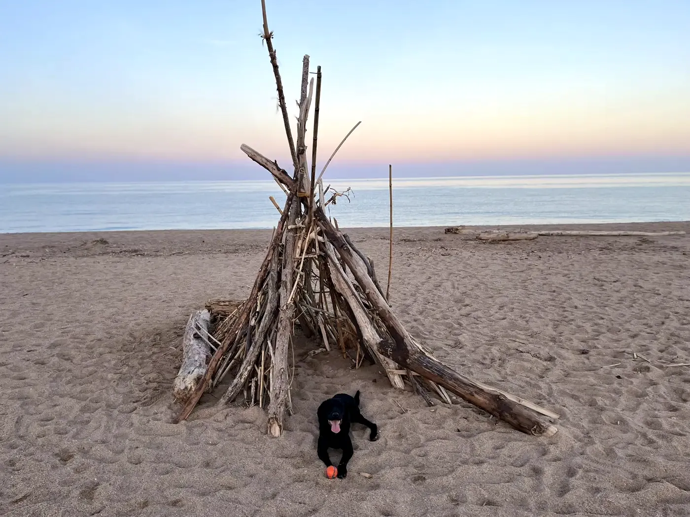 Perro en Alma Canina, Girona