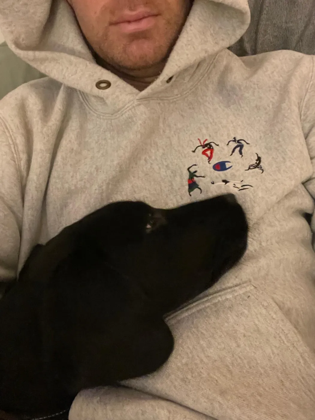 Loki descansando sobre Carlo